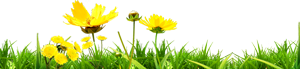 link (9).png